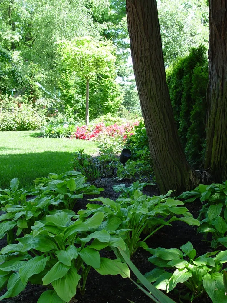 Custom landscape installation for homes in Tacoma, WA by ProGrass