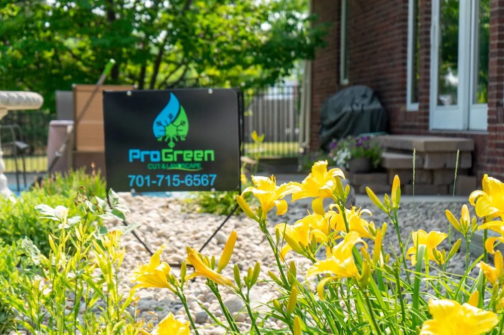 Reliable yard cleanup service in Prairie Rose, ND - ProGreen Cut & Landscape