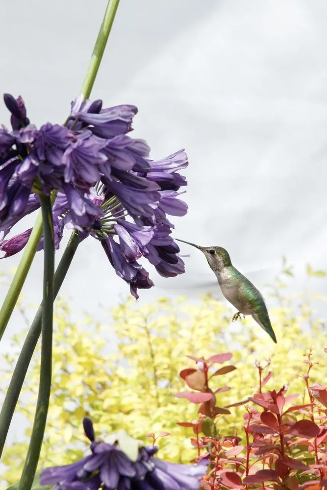 Expert lawn care service in Crawfordsville, IN - ProGreen Garden Center