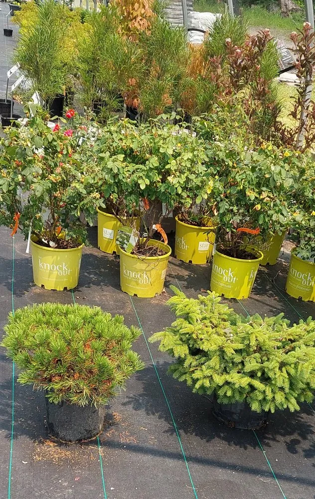 Professional outdoor landscaping in Crawfordsville, IN by ProGreen Garden Center