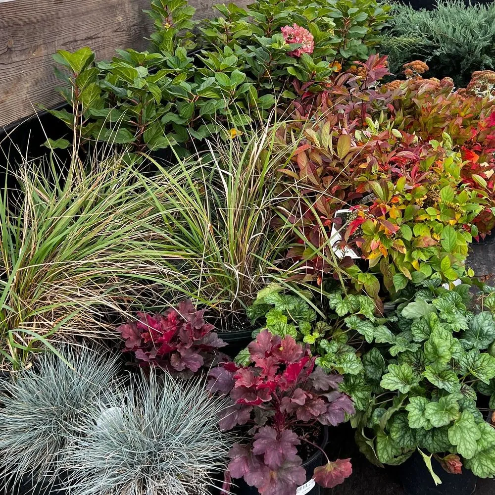 Trusted garden landscaping near you in Crawfordsville, IN by ProGreen Garden Center