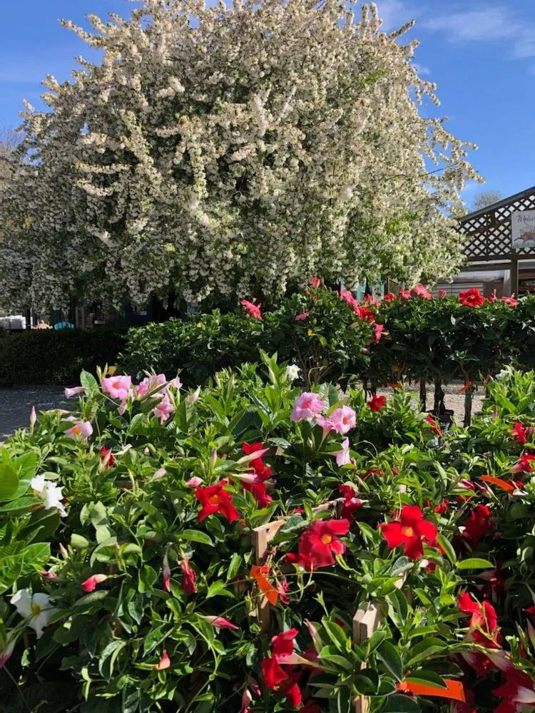 Local outdoor landscaping for beautiful yards across Crawfordsville, IN - ProGreen Garden Center
