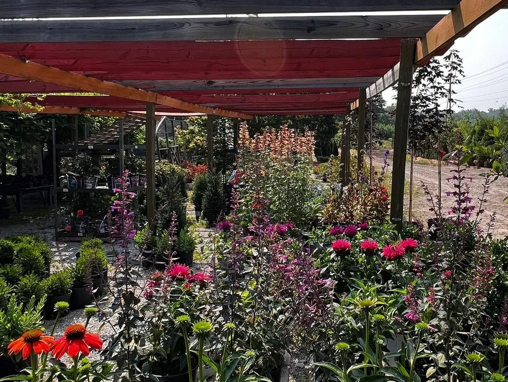 Top-rated outdoor landscaping experts serving Crawfordsville, IN - ProGreen Garden Center