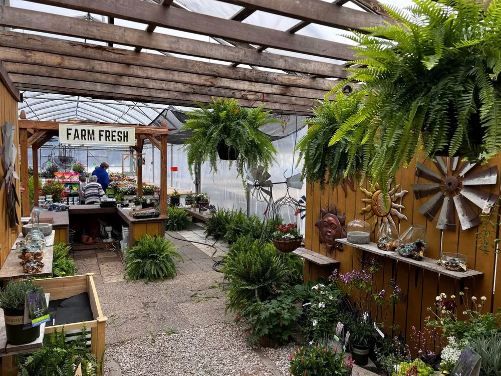 Custom yard cleanup service experts serving Crawfordsville, IN - ProGreen Garden Center