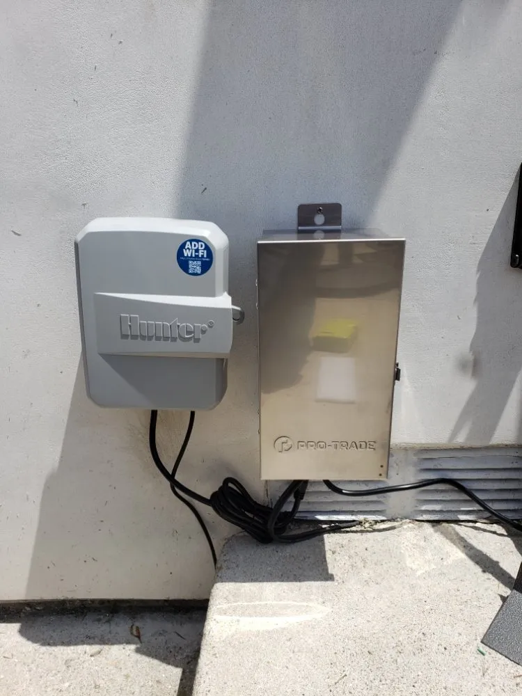 Affordable yard cleanup service for homes in San Diego, CA by ProGreen Gardeners