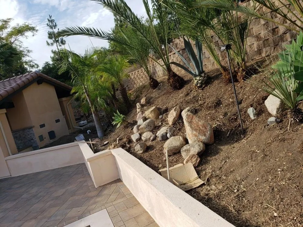 Professional landscape installation in San Diego, CA - ProGreen Gardeners