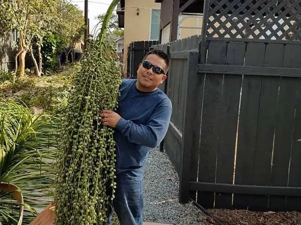 Professional lawn mowing service in San Diego, CA - ProGreen Gardeners