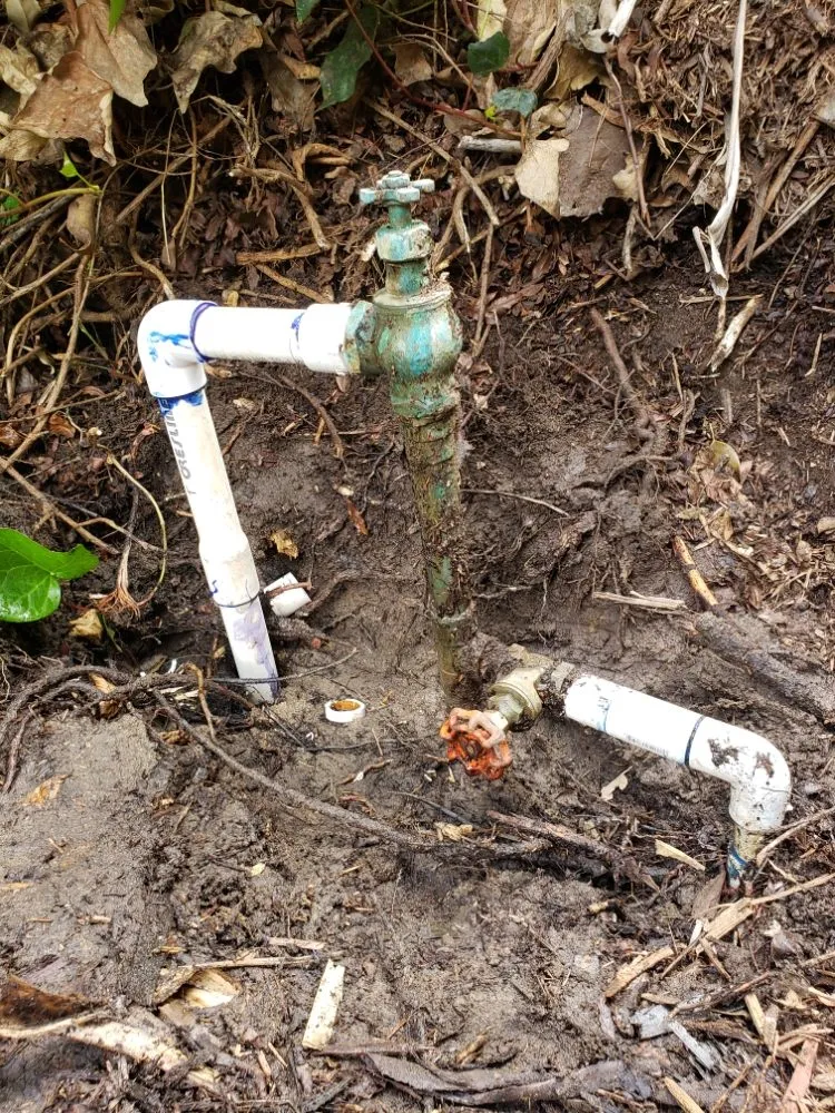 Custom landscaping services in San Diego, CA by ProGreen Gardeners