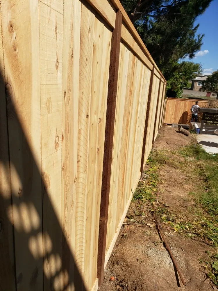 Trusted landscaping services in San Diego, CA - ProGreen Gardeners