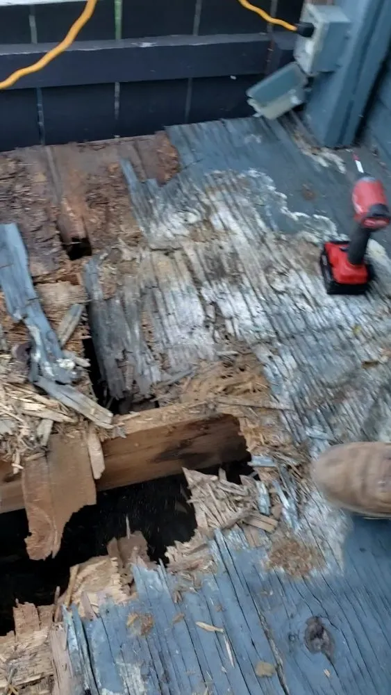 Custom residential landscaping in San Diego, CA - ProGreen Gardeners