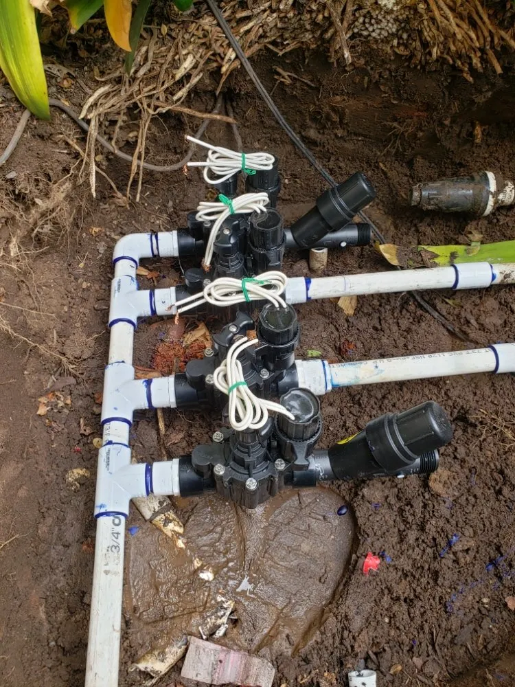 Top-rated landscape design experts serving San Diego, CA - ProGreen Gardeners