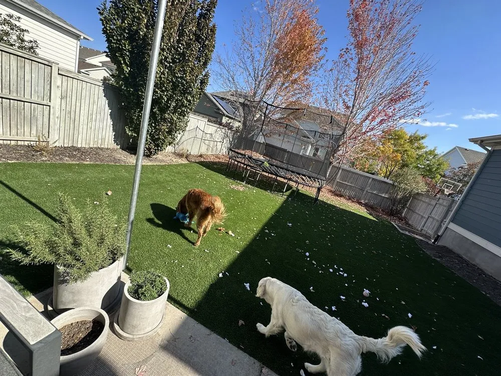 Affordable lawn mowing service for year-round maintenance across Salt Lake City, UT - ProGreen Intermountain Turf