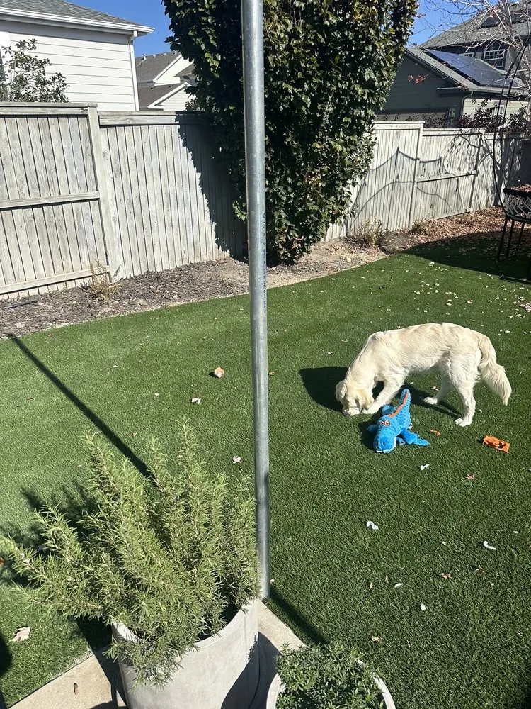 Trusted residential landscaping experts serving Salt Lake City, UT - ProGreen Intermountain Turf