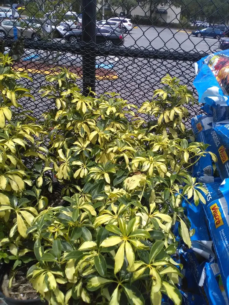 Affordable yard maintenance in Orlando, FL - Progreen Irrigation & Pump Service