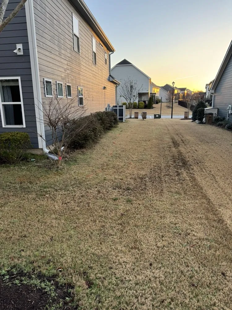 Expert yard cleanup service in Wake Forest, NC by Progreen Landscape Solutions