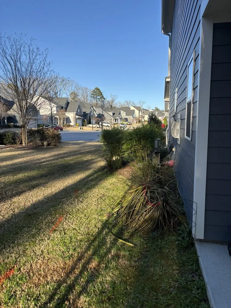 Custom yard cleanup service in Wake Forest, NC - Progreen Landscape Solutions