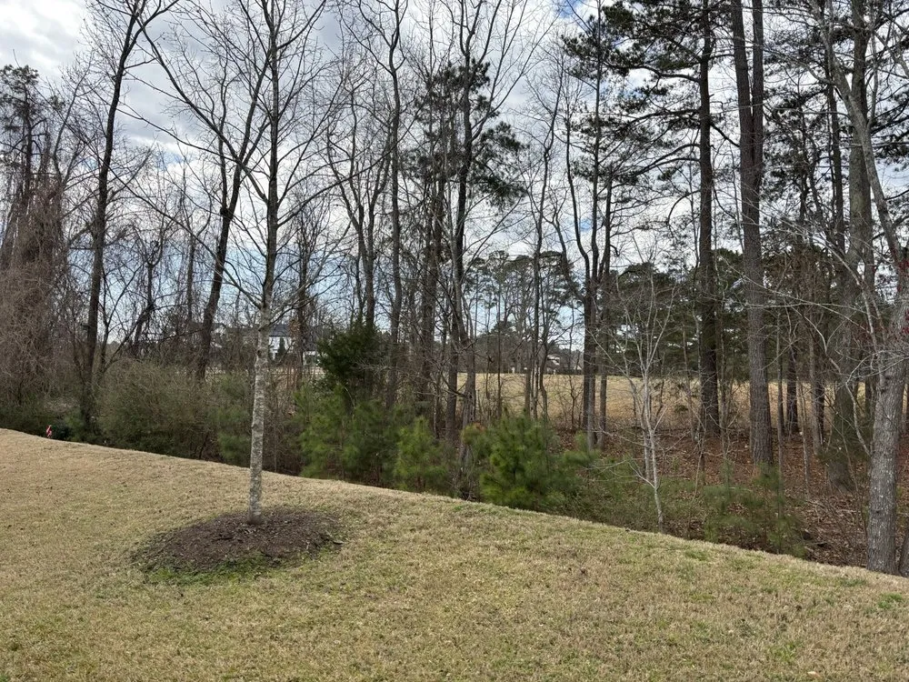 Professional lawn mowing service for residential properties across Wake Forest, NC - Progreen Landscape Solutions