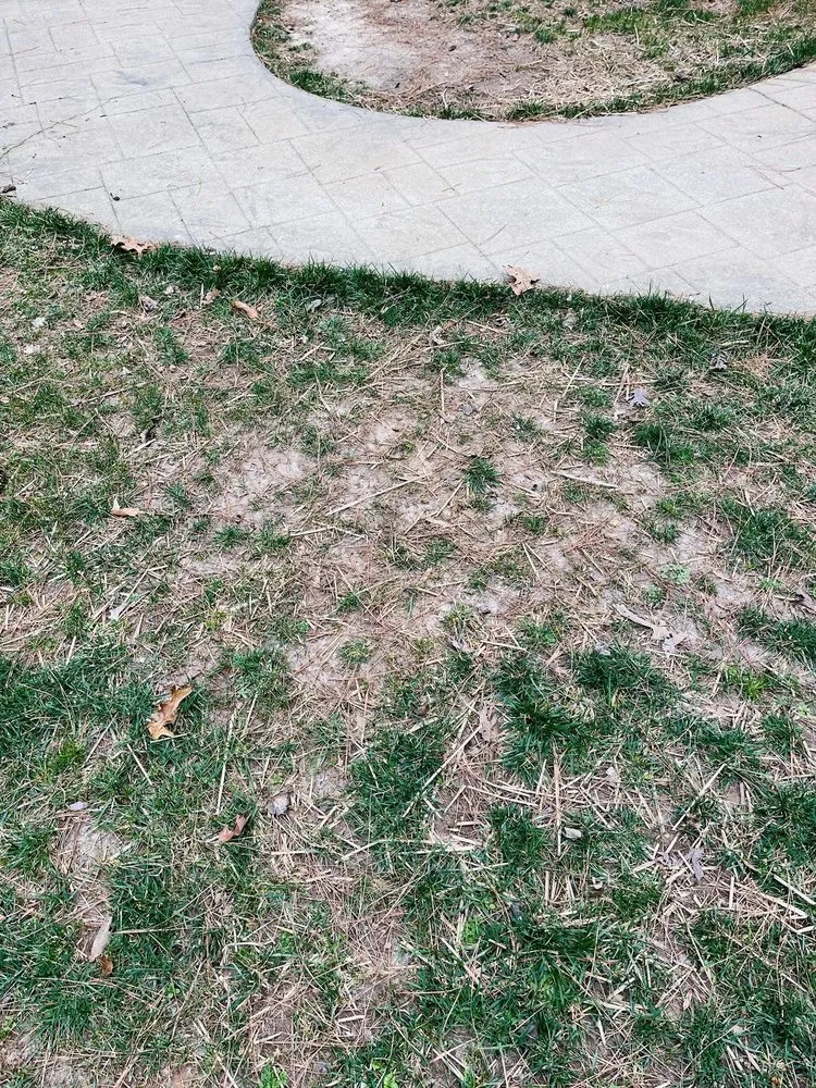 Trusted landscape installation in Wake Forest, NC - Progreen Landscape Solutions