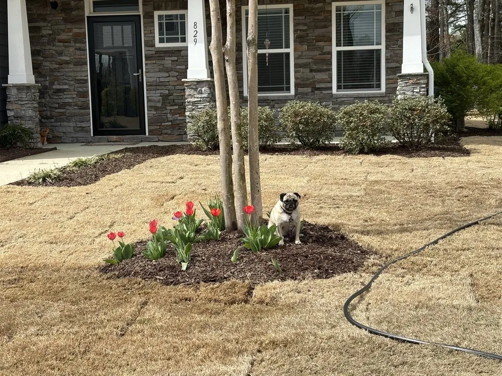 Top-rated yard cleanup service for outdoor upgrades in Wake Forest, NC by Progreen Landscape Solutions