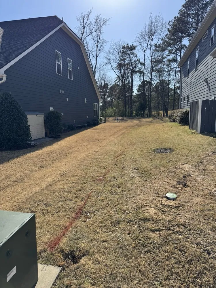 Top-rated outdoor landscaping in Wake Forest, NC by Progreen Landscape Solutions