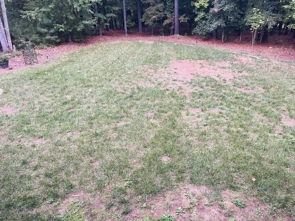 Reliable garden landscaping in Wake Forest, NC by Progreen Landscape Solutions