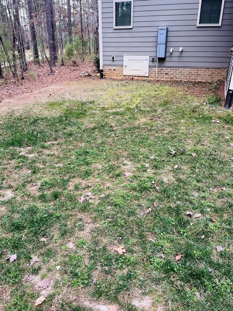 Professional residential landscaping in Wake Forest, NC by Progreen Landscape Solutions