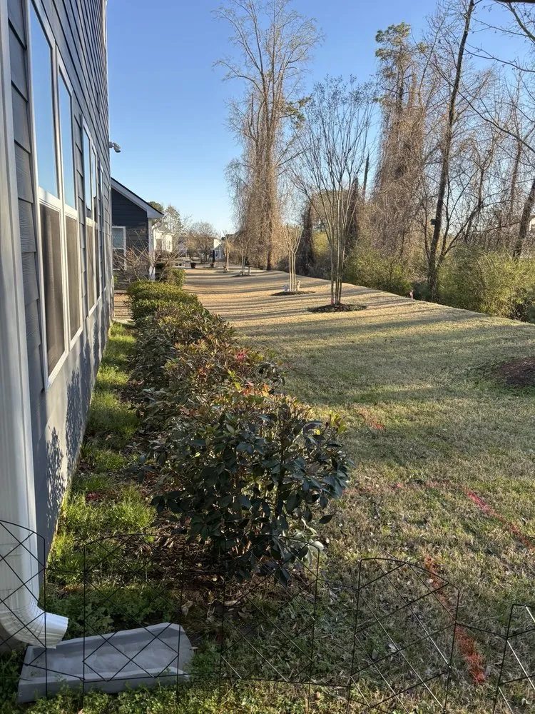 Expert yard maintenance experts serving Wake Forest, NC - Progreen Landscape Solutions