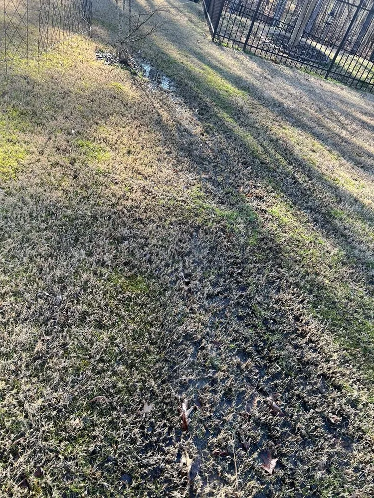 Custom garden landscaping in Wake Forest, NC by Progreen Landscape Solutions