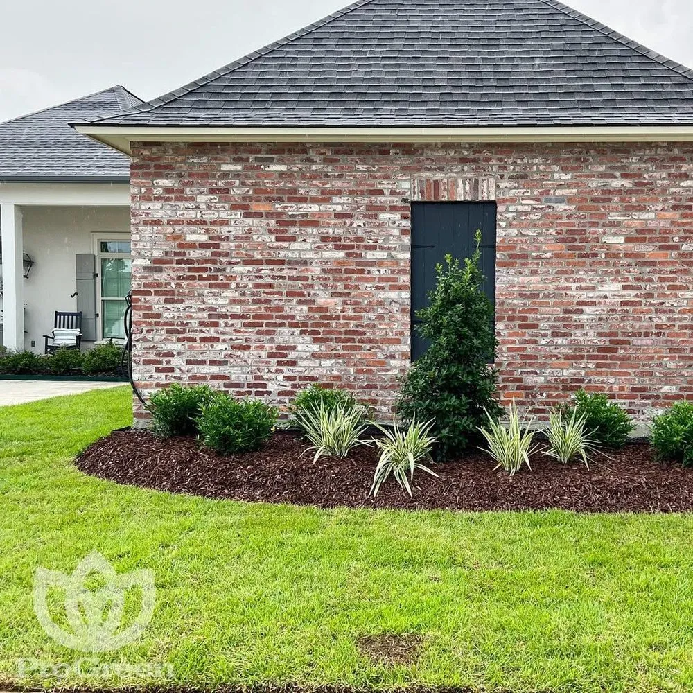 Custom yard maintenance experts serving Baton Rouge, LA - Progreen Lawn & Landscape