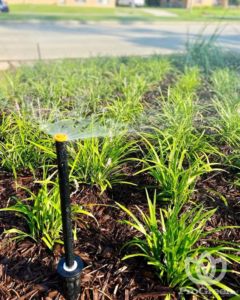 Local garden landscaping experts serving Baton Rouge, LA - Progreen Lawn & Landscape