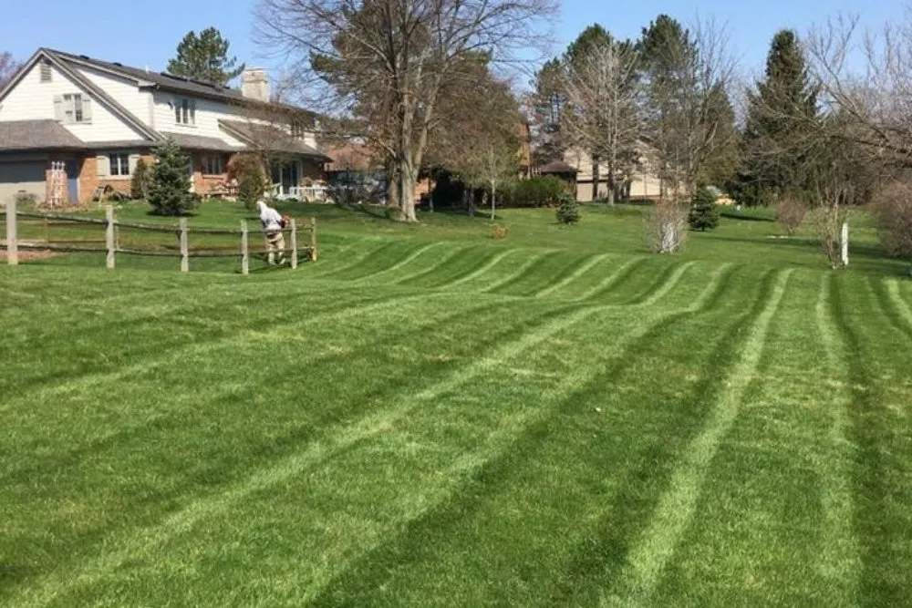 Affordable residential landscaping experts serving Castalian Springs, TN - ProGreen Lawn