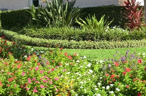 Top-rated garden landscaping near you in St. Petersburg, FL by ProGreen Pest Control
