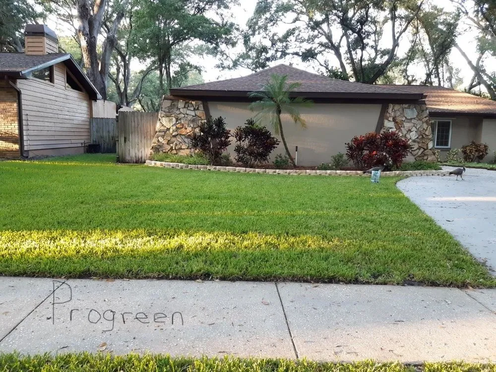 Trusted yard cleanup service experts serving St. Petersburg, FL - ProGreen Pest Control