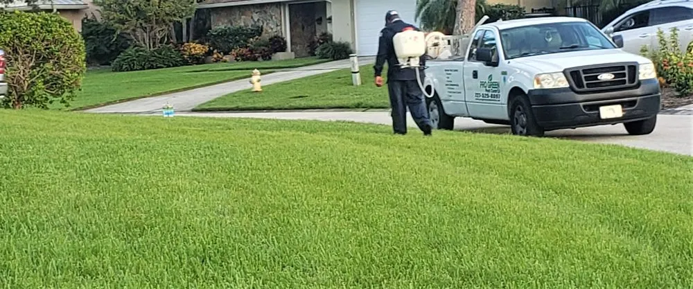 Custom yard cleanup service in St. Petersburg, FL - ProGreen Pest Control