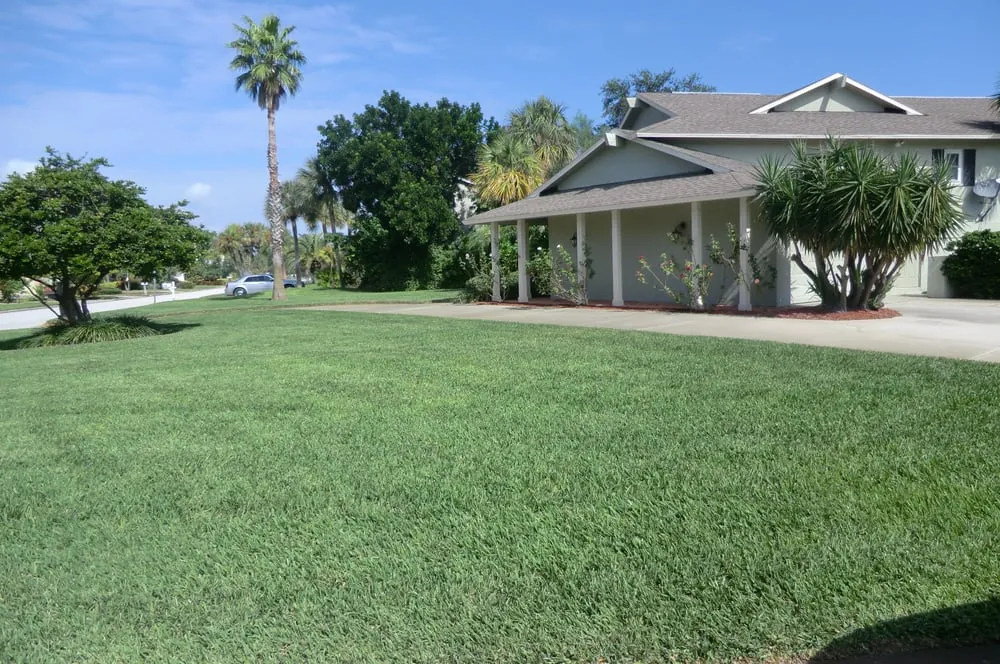 Professional outdoor landscaping near you across St. Petersburg, FL - ProGreen Pest Control