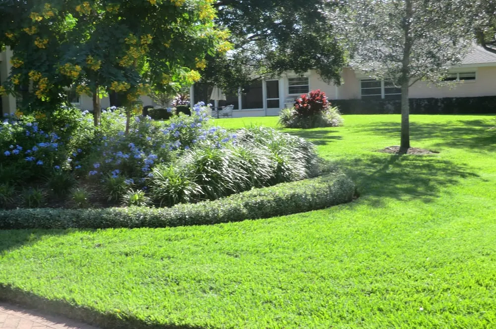 Local residential landscaping experts serving St. Petersburg, FL - ProGreen Pest Control
