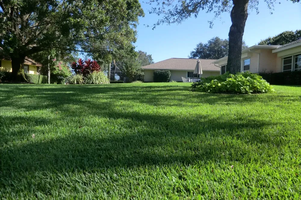 Reliable landscape design near you in St. Petersburg, FL by ProGreen Pest Control