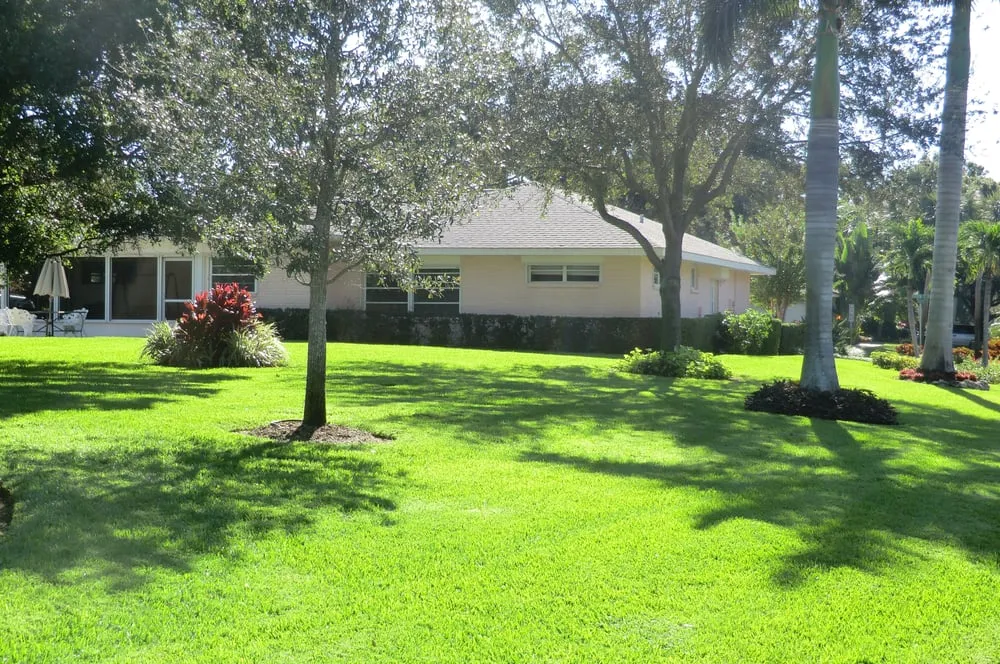 Local outdoor landscaping for residential properties across St. Petersburg, FL - ProGreen Pest Control