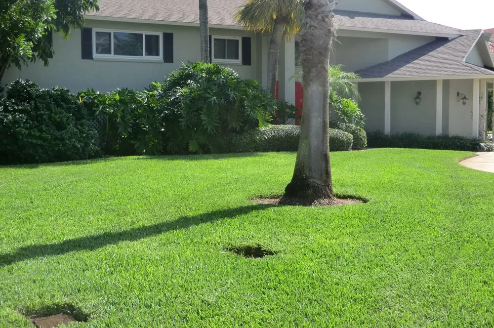Professional garden landscaping with custom design across St. Petersburg, FL - ProGreen Pest Control