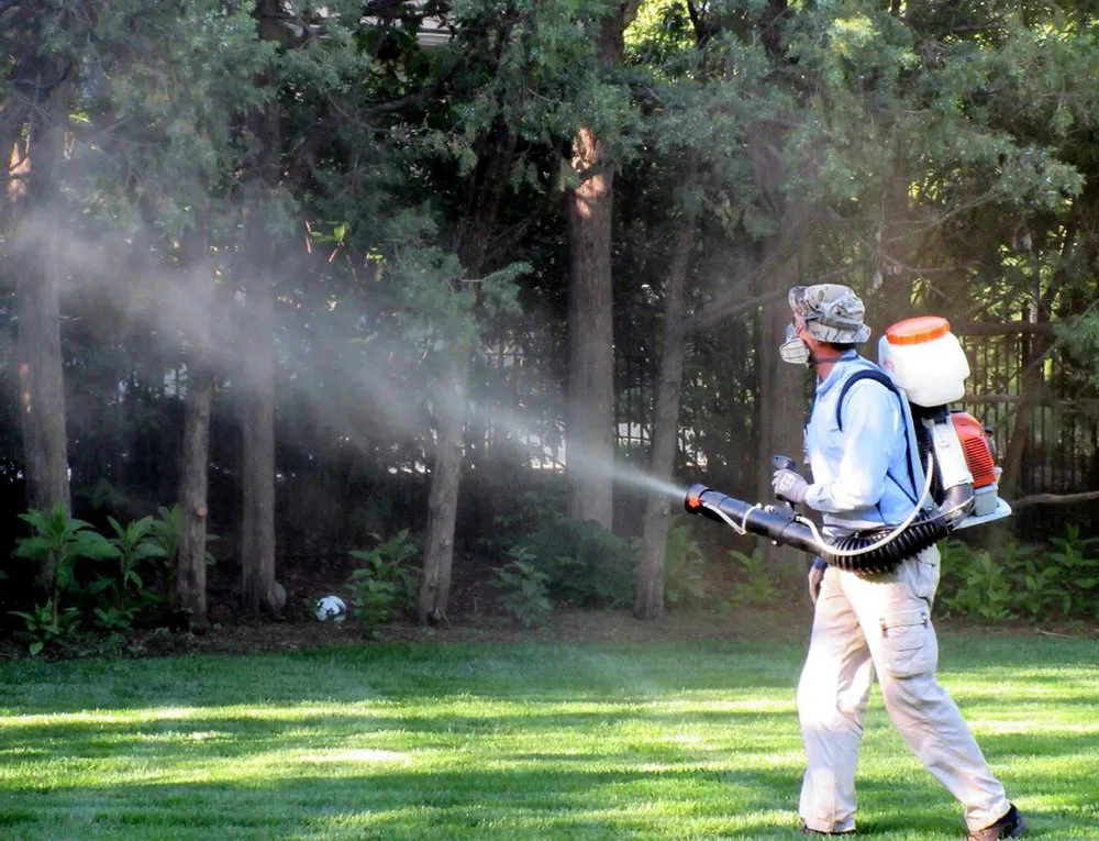Local yard maintenance experts serving St. Petersburg, FL - ProGreen Pest Control