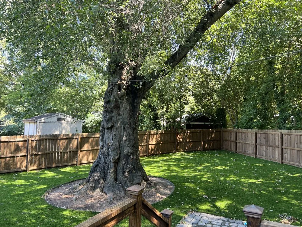 Expert lawn mowing service in Raleigh, NC by ProGreen