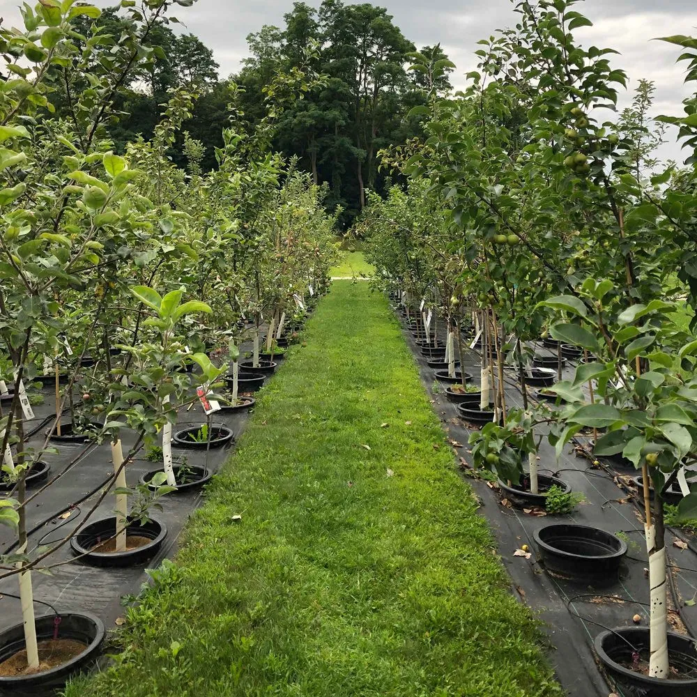 Trusted residential landscaping for residential properties across Jacksonville, FL - ProGreen Services