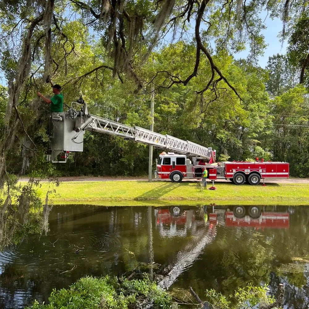 Professional landscape installation for residential properties across Jacksonville, FL - ProGreen Services