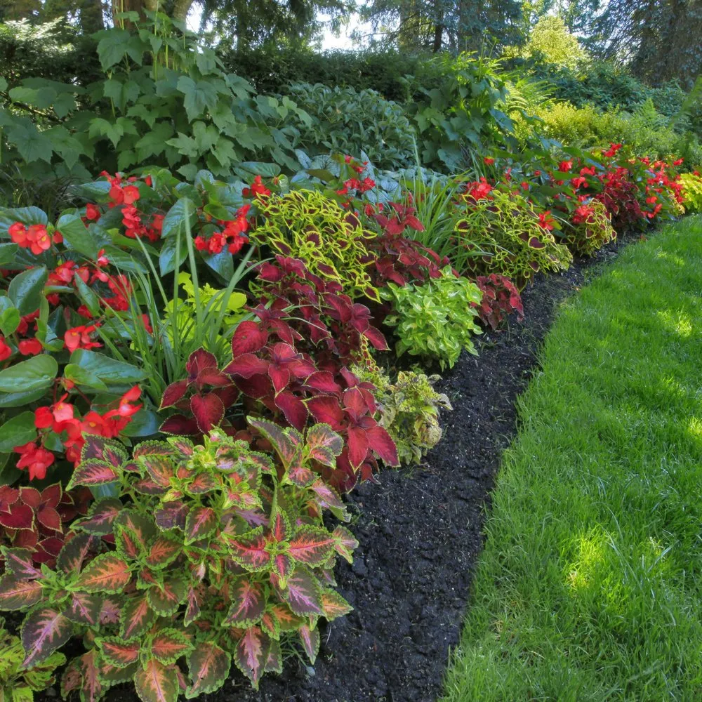 Affordable lawn care service with custom design across Jacksonville, FL - ProGreen Services