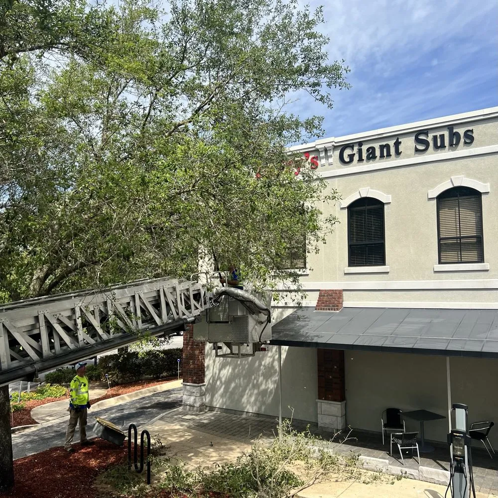 Professional landscape installation experts serving Jacksonville, FL - ProGreen Services