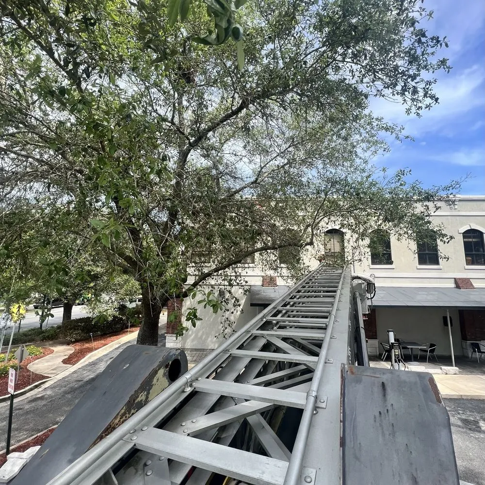 Custom lawn care service in Jacksonville, FL - ProGreen Services