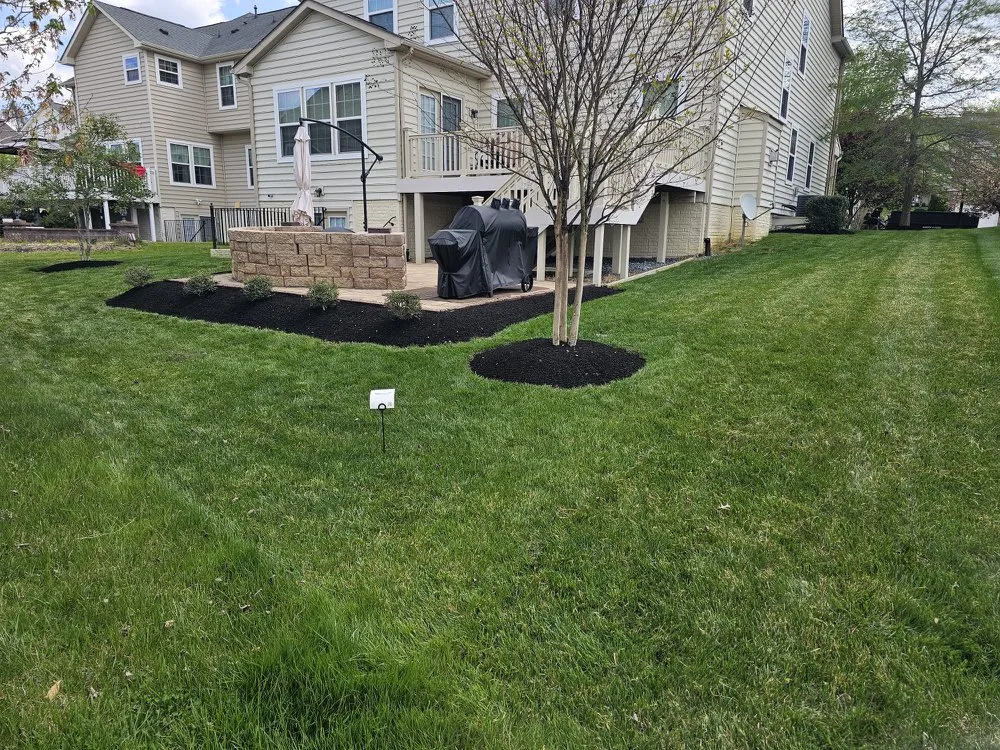 Expert yard cleanup service in Hyattsville, MD - Progress Hardscape