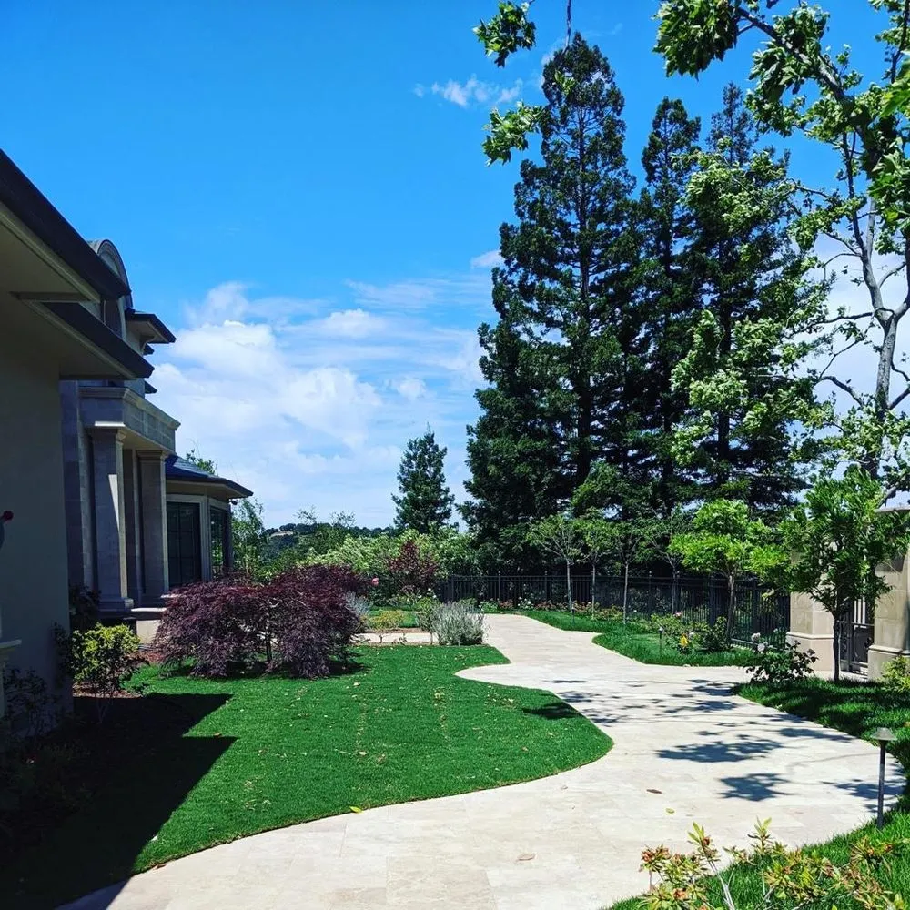 Local residential landscaping experts serving Houston, TX - ProgresScape Landscape