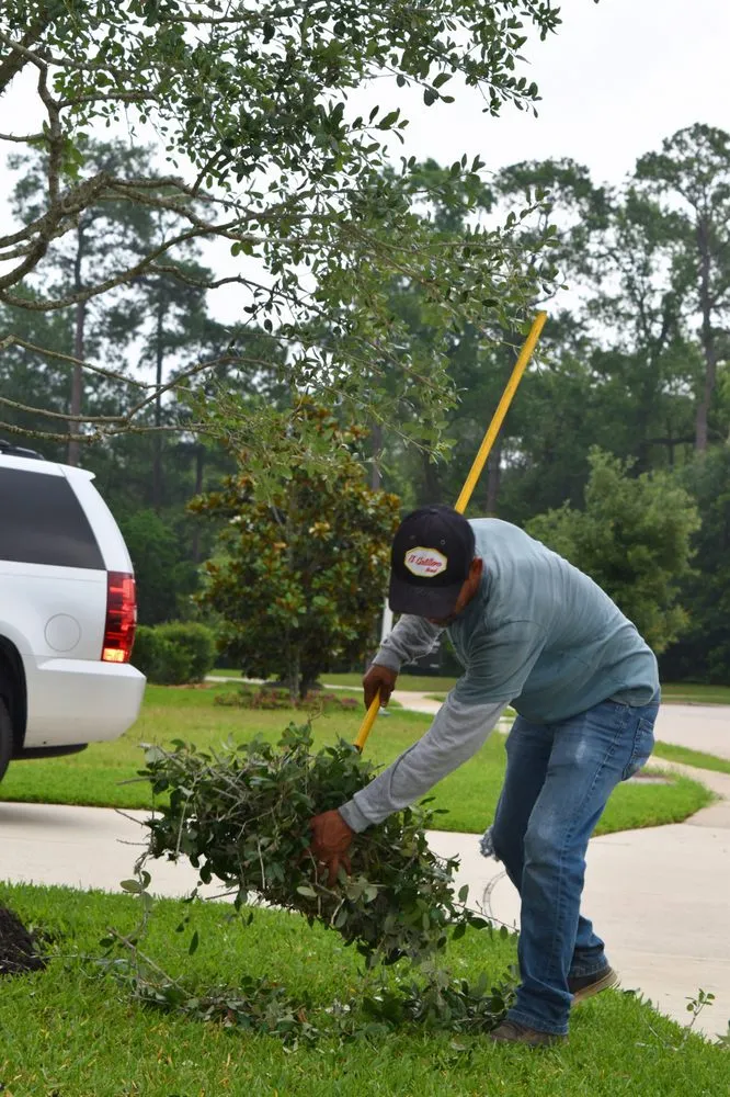Affordable garden landscaping experts serving Houston, TX - ProgresScape Landscape