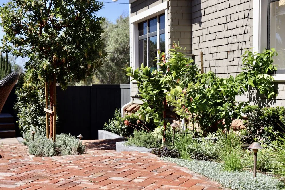 Reliable lawn care service experts serving Santa Barbara, CA - Progressive Environmental Industries